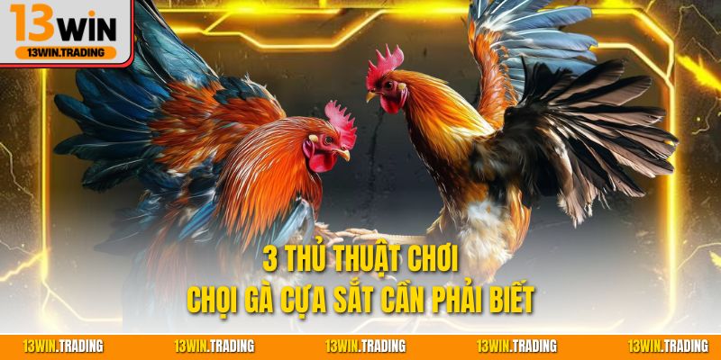 3 thủ thuật chơi chọi gà cựa sắt cần phải biết