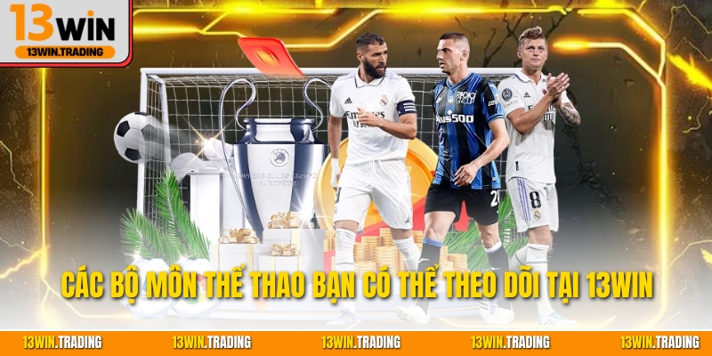 Các bộ môn thể thao bạn có thể theo dõi tại 13Win