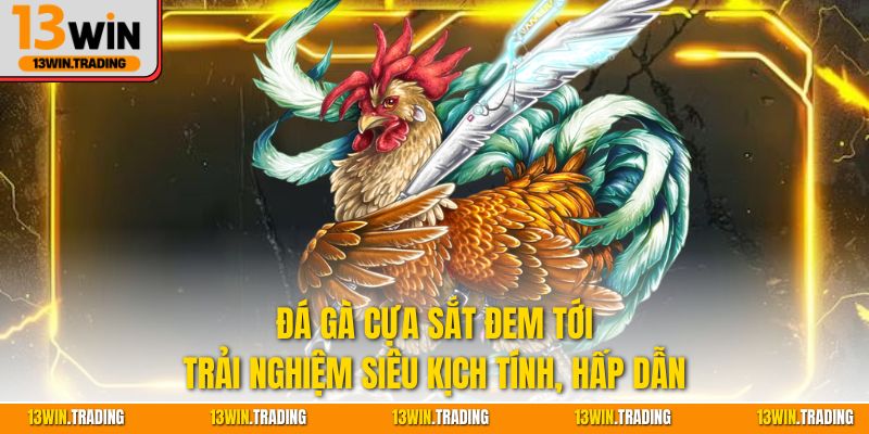 Đá gà cựa sắt đem tới trải nghiệm siêu kịch tính, hấp dẫn