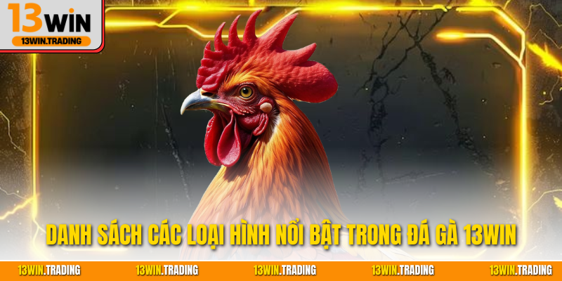 Danh sách các loại hình nổi bật trong đá gà 13Win
