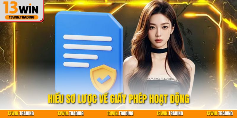 Hiểu sơ lược về giấy phép hoạt động
