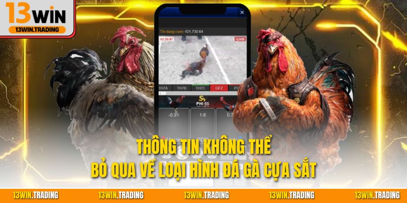 Thông tin không thể bỏ qua về loại hình đá gà cựa sắt