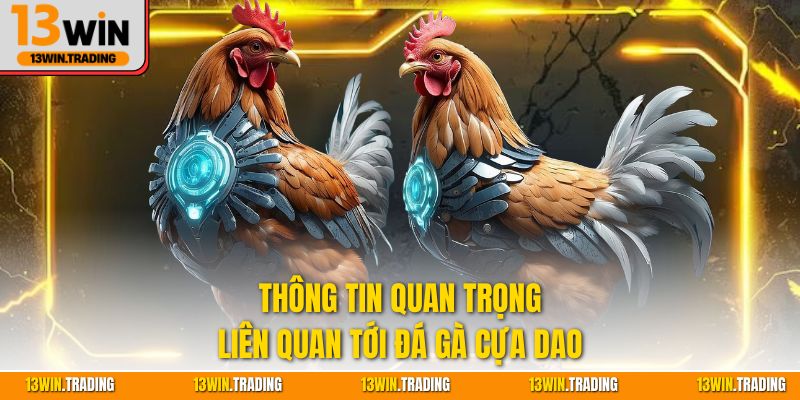 Thông tin quan trọng liên quan tới đá gà cựa dao